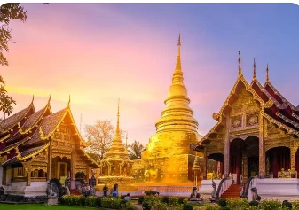 Hittu LIONCARE hjá CIOSH Thailand 2024 - Bókaðu fyrirfram fund þinn núna!